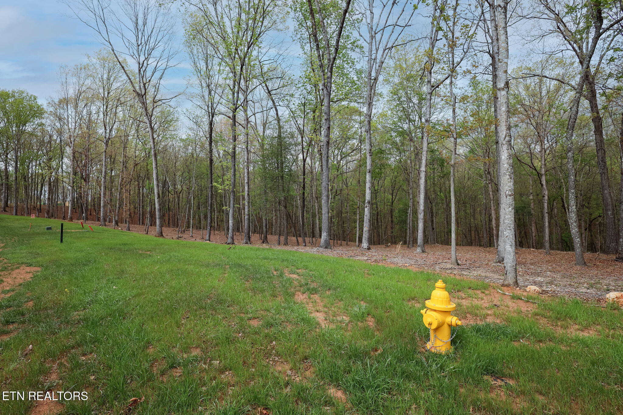 289 Flip Flop Way Loudon TN 37774