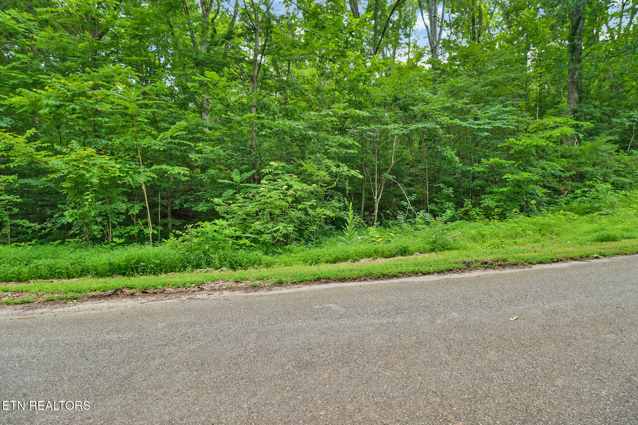 1644 Walker Cove Road Sparta TN 38583