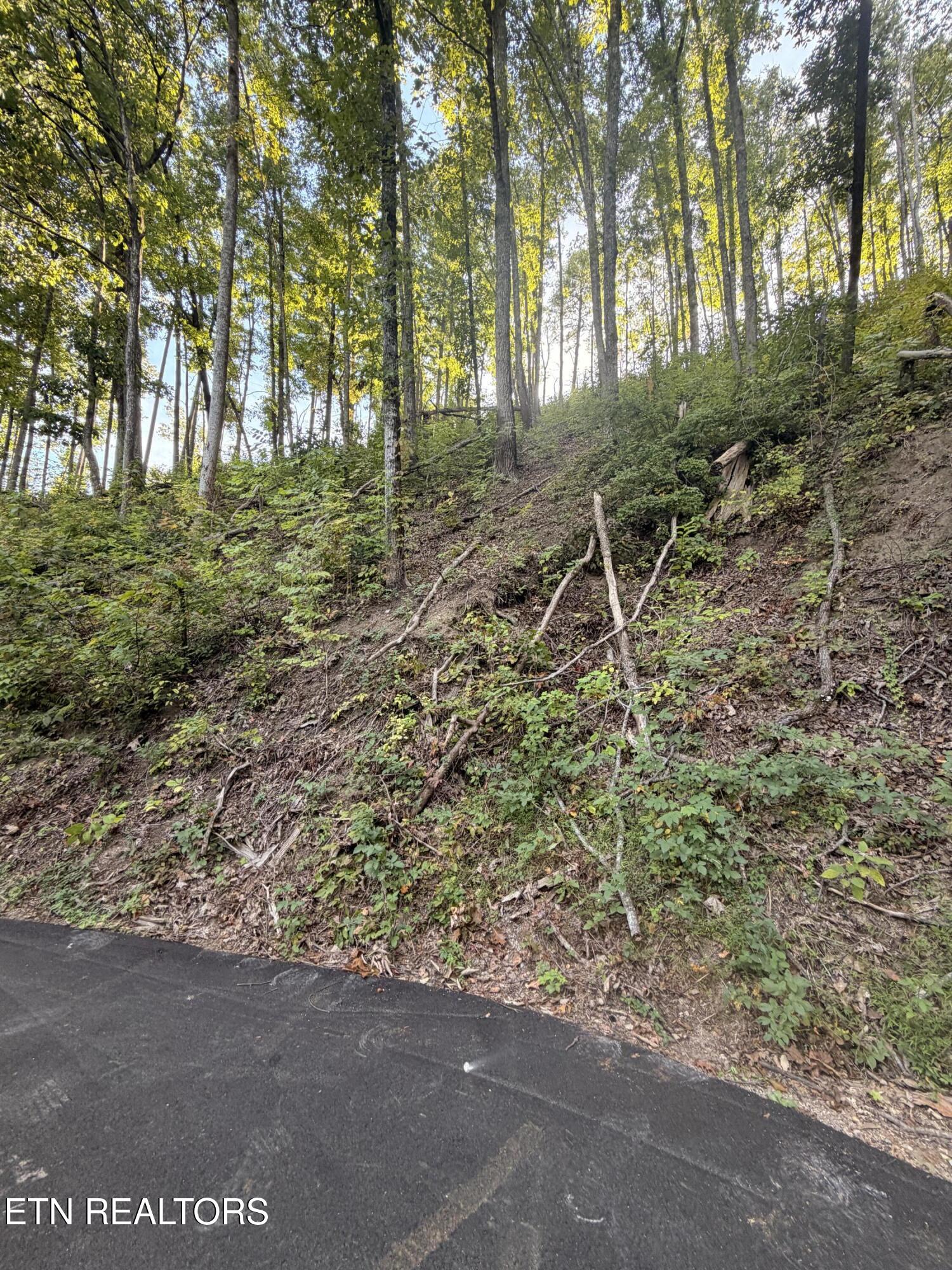 Whipoorwill Hill Way Sevierville TN 37862