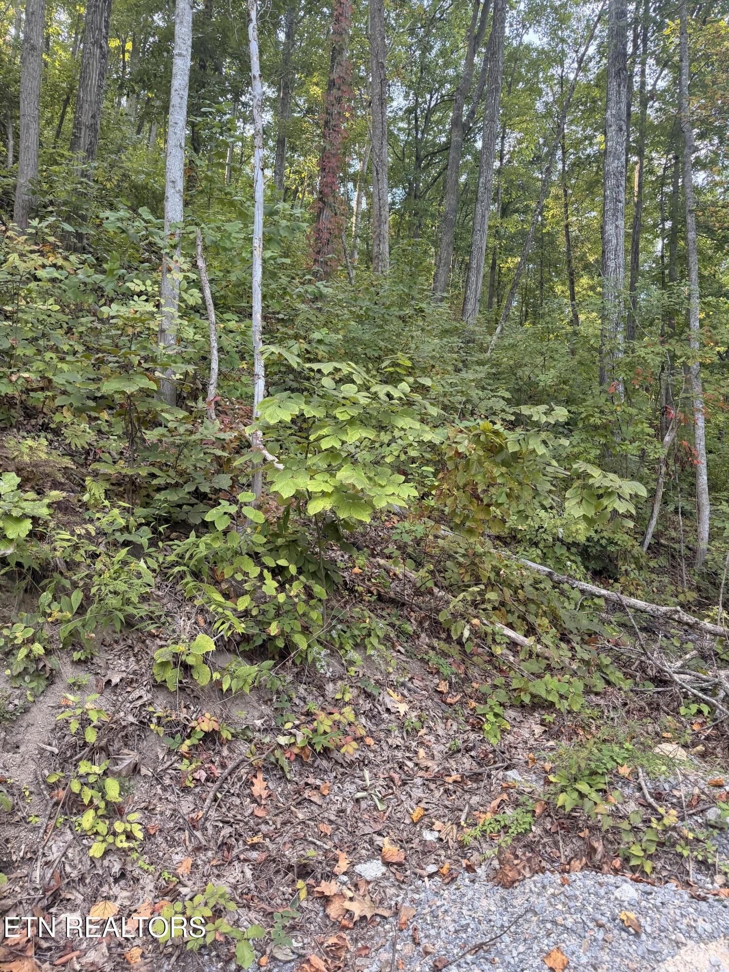 Whipoorwill Hill Way Sevierville TN 37862