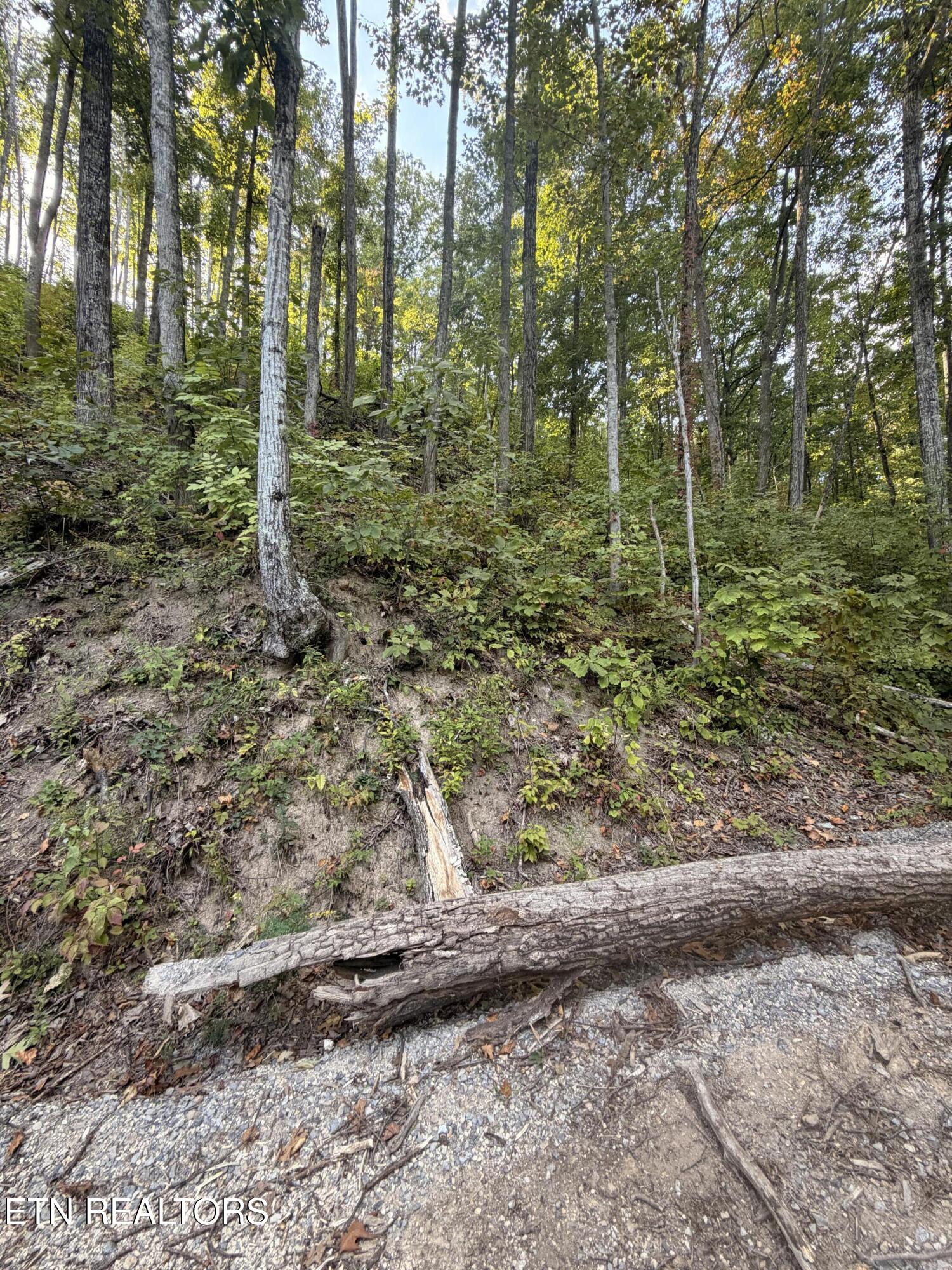 Whipoorwill Hill Way Sevierville TN 37862