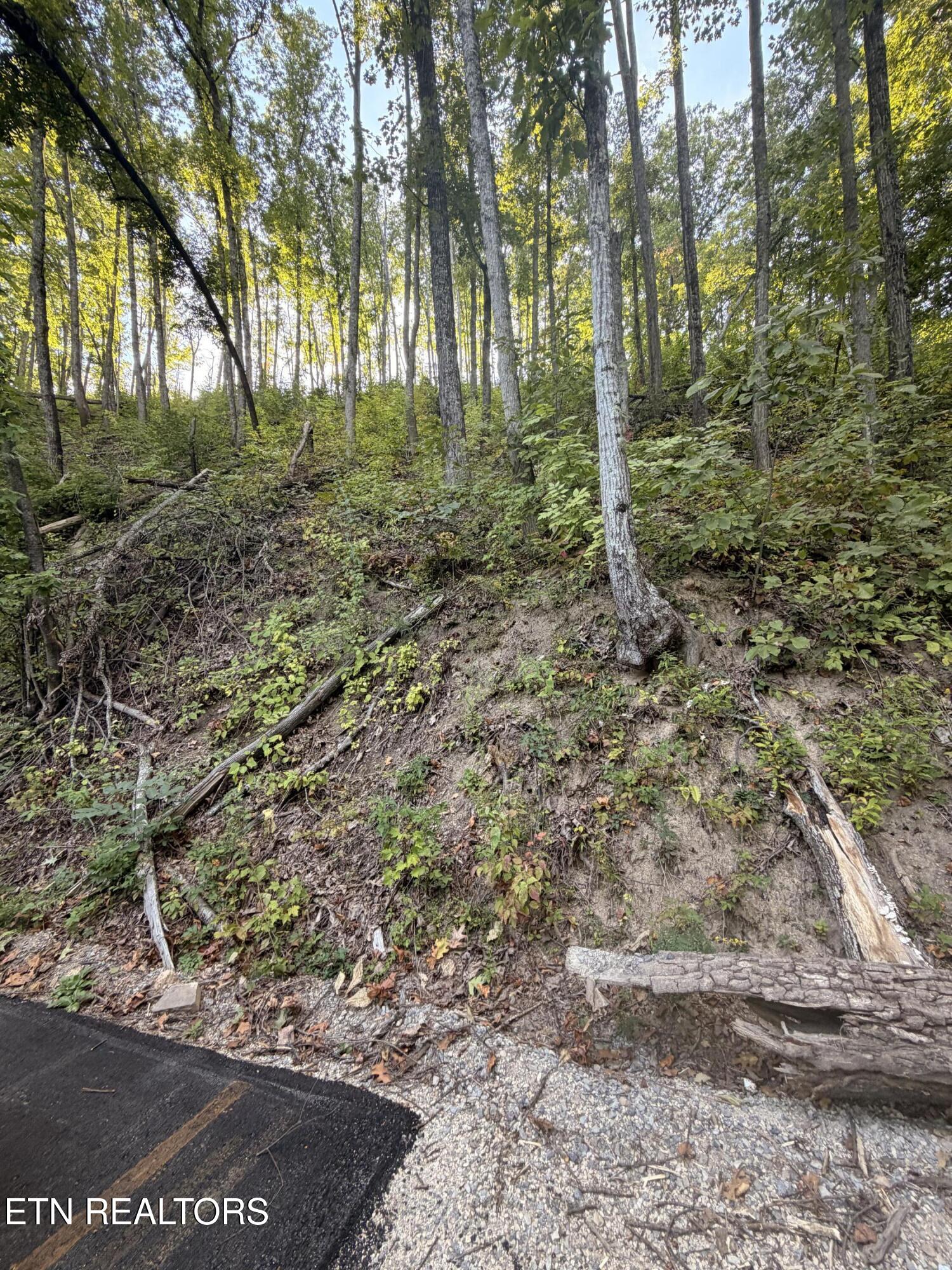 Whipoorwill Hill Way Sevierville TN 37862