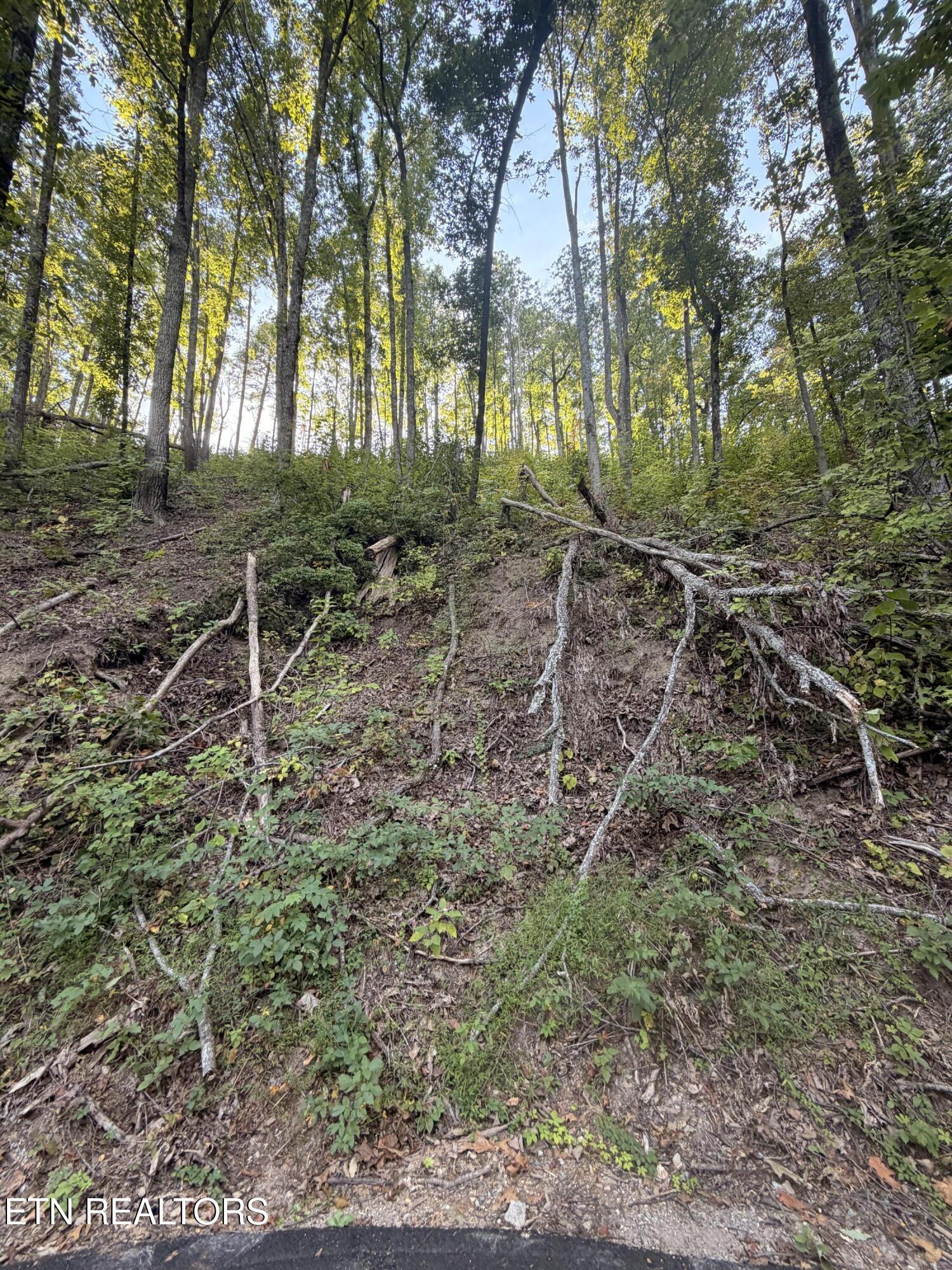 Whipoorwill Hill Way Sevierville TN 37862