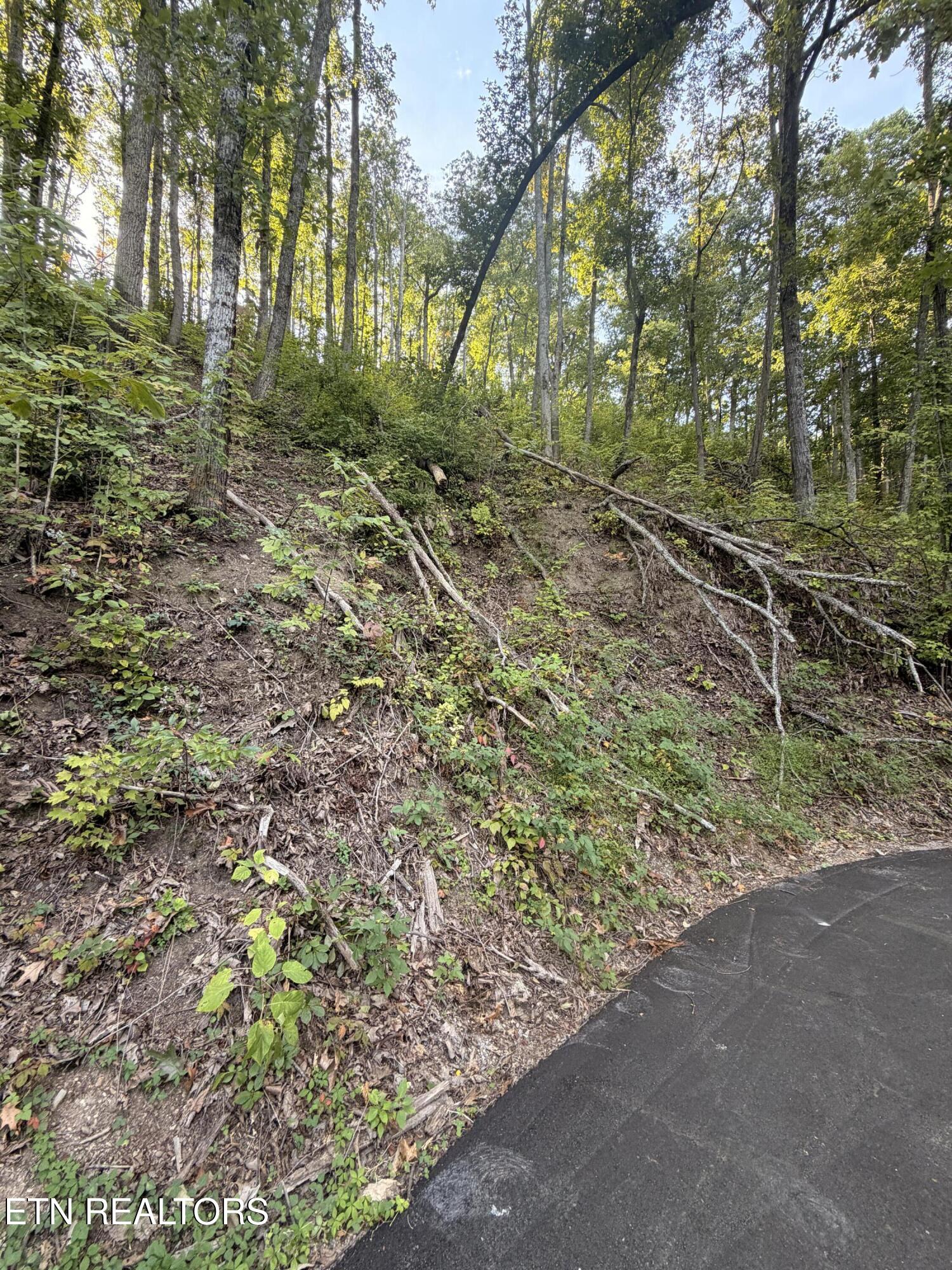Whipoorwill Hill Way Sevierville TN 37862