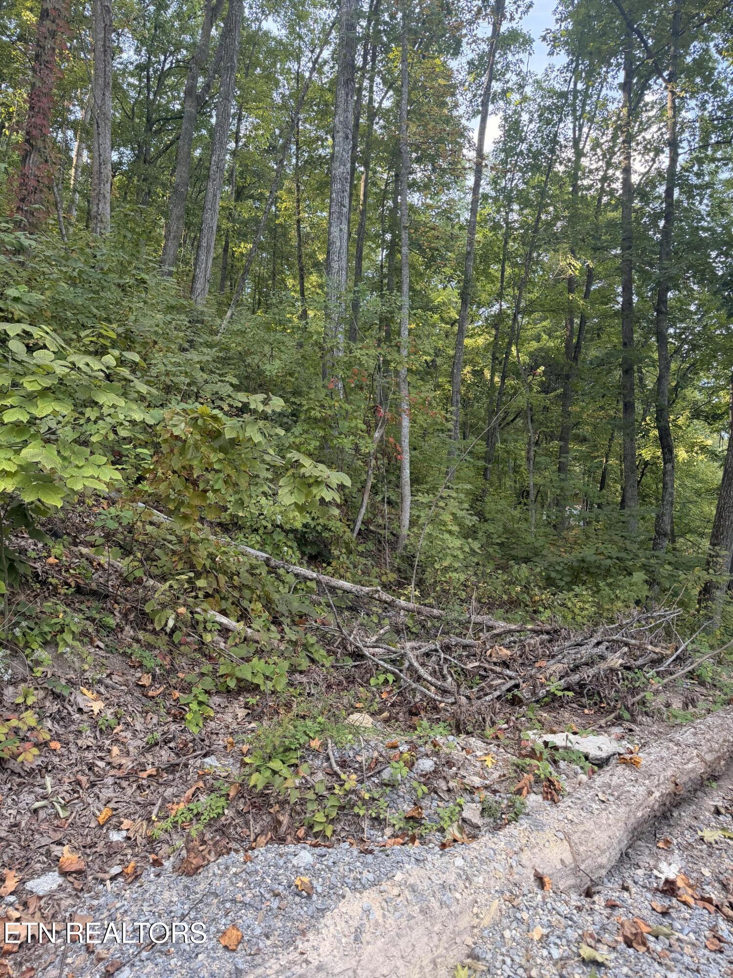 Whipoorwill Hill Way Sevierville TN 37862