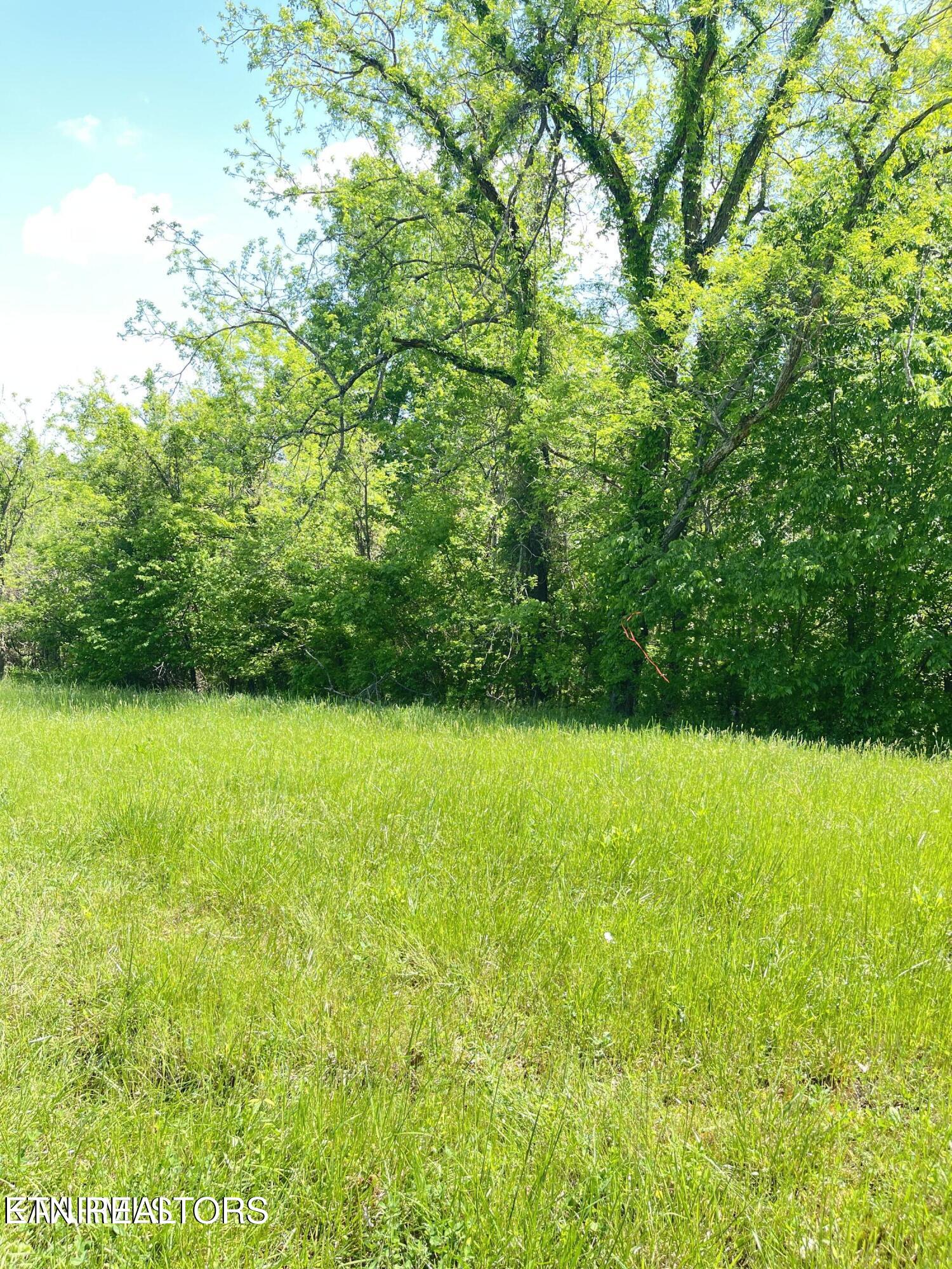 Bob Wright Road Lot 17 Maynardville TN 37807