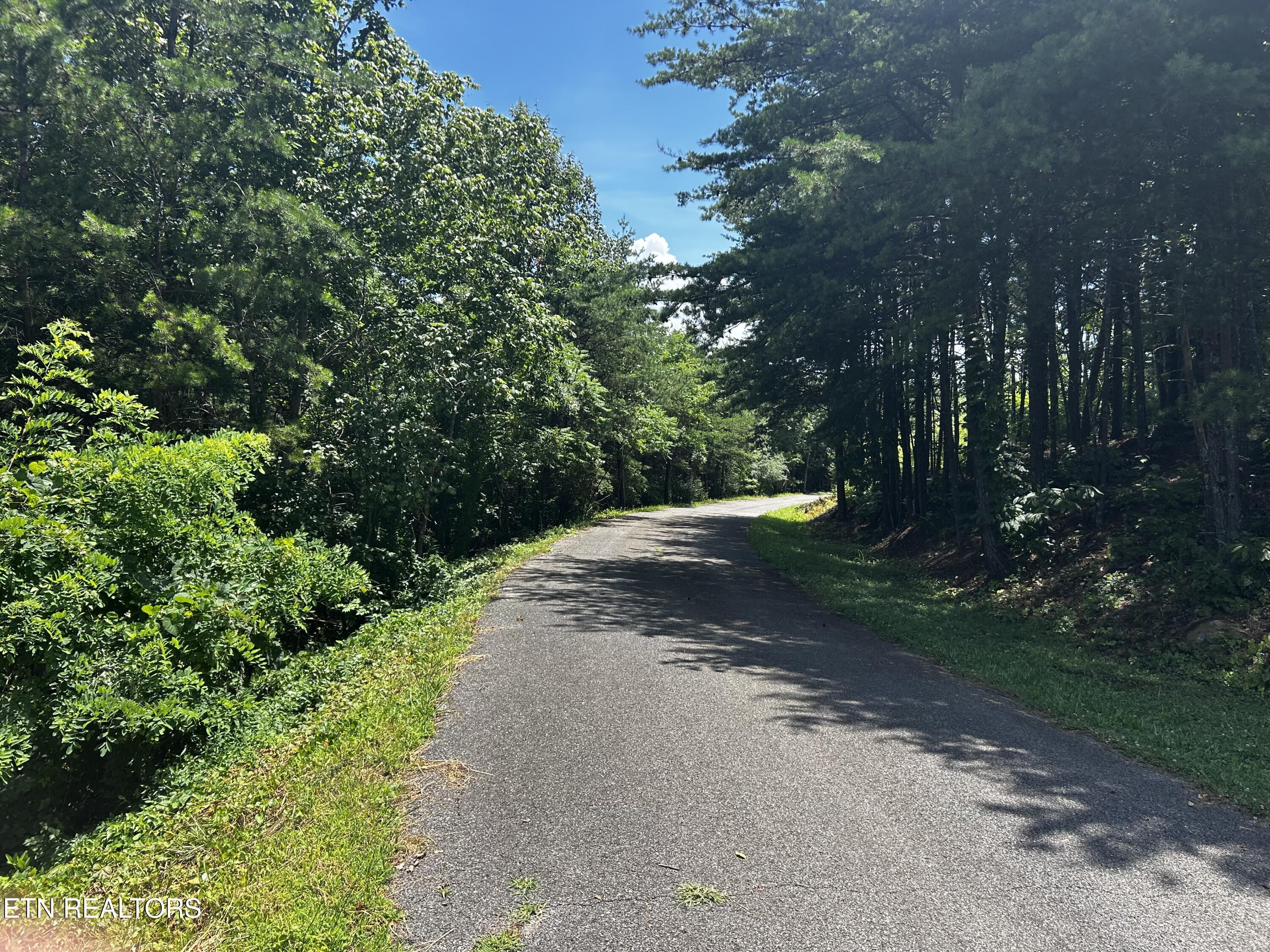 Highlands Bluff Road Tellico Plains TN 37385