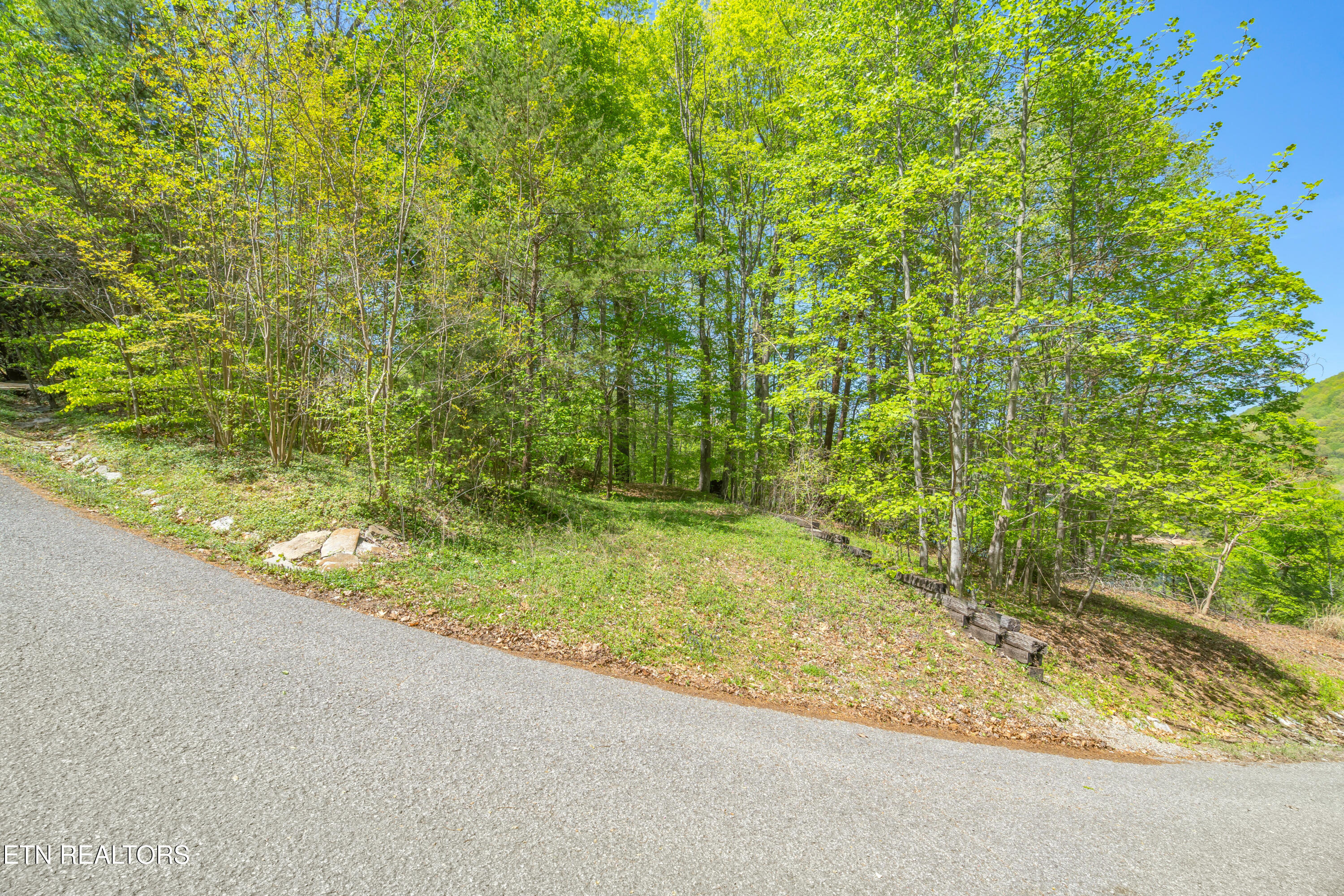 Lot 51 S Shorewood Drive Caryville TN 37714
