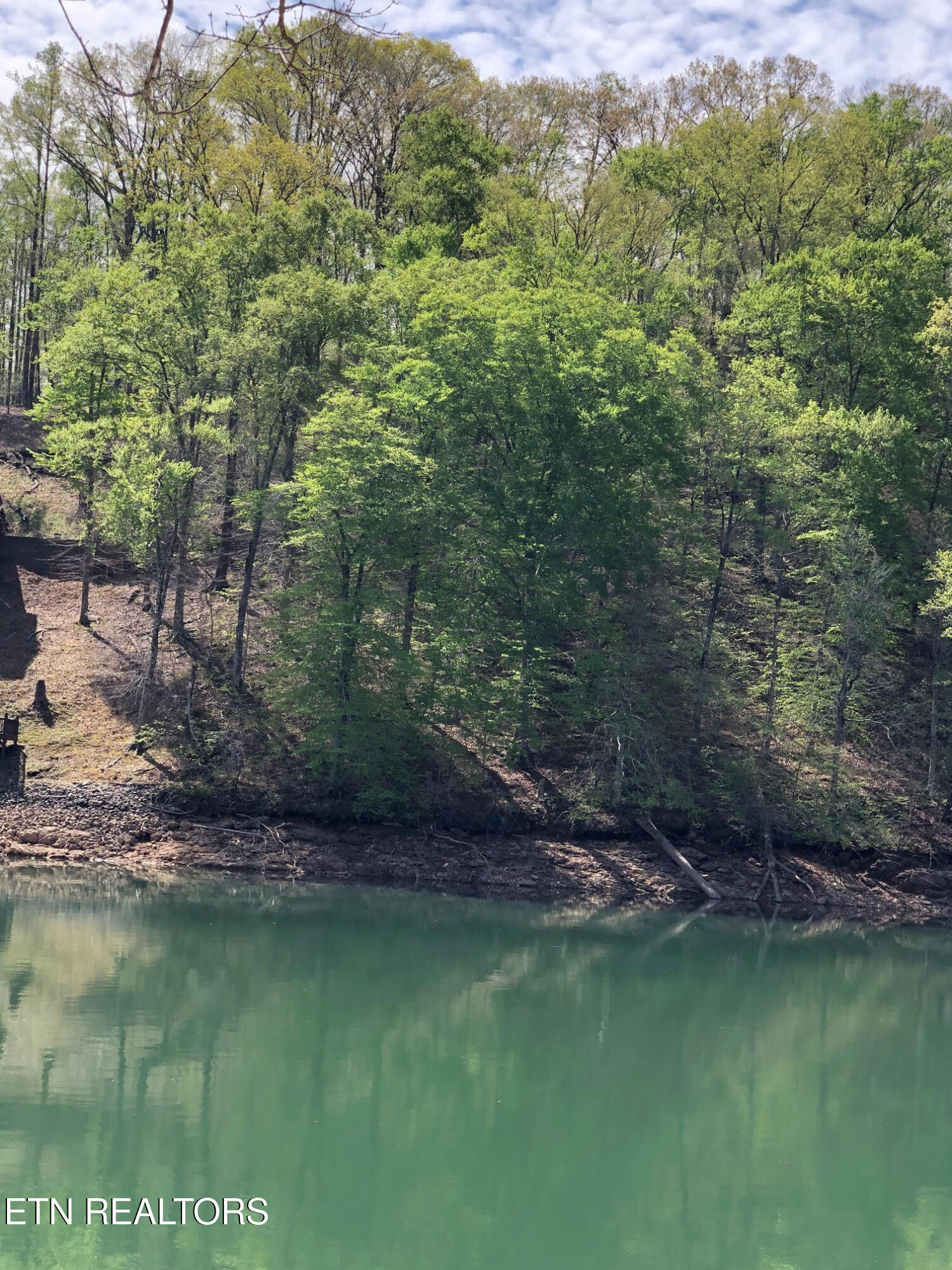 Lot 51 S Shorewood Drive Caryville TN 37714