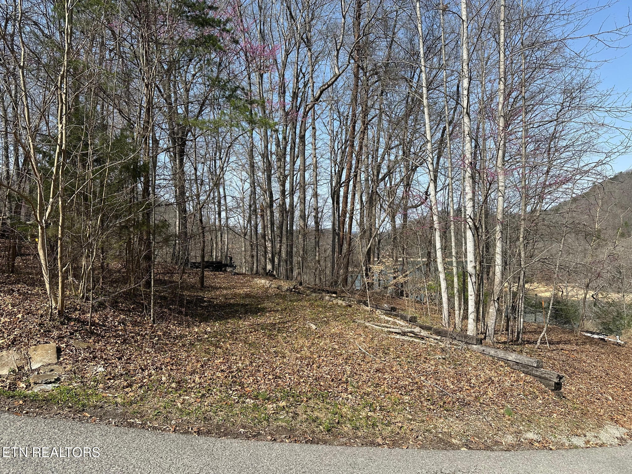 Lot 51 S Shorewood Drive Caryville TN 37714