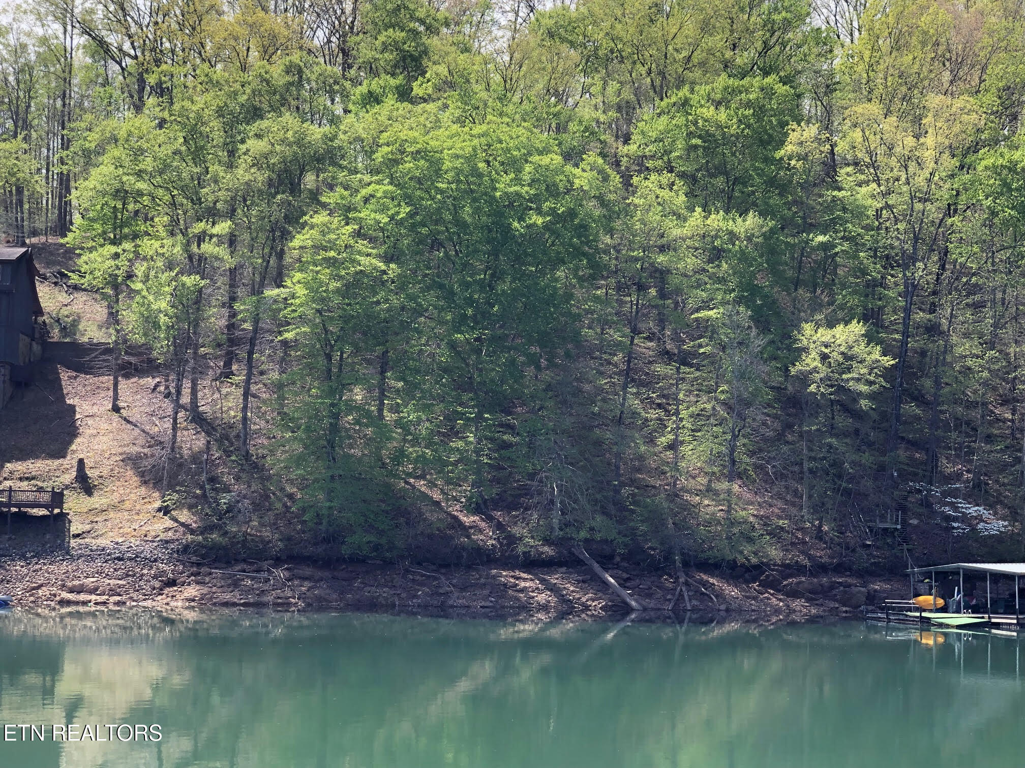 Lot 51 S Shorewood Drive Caryville TN 37714