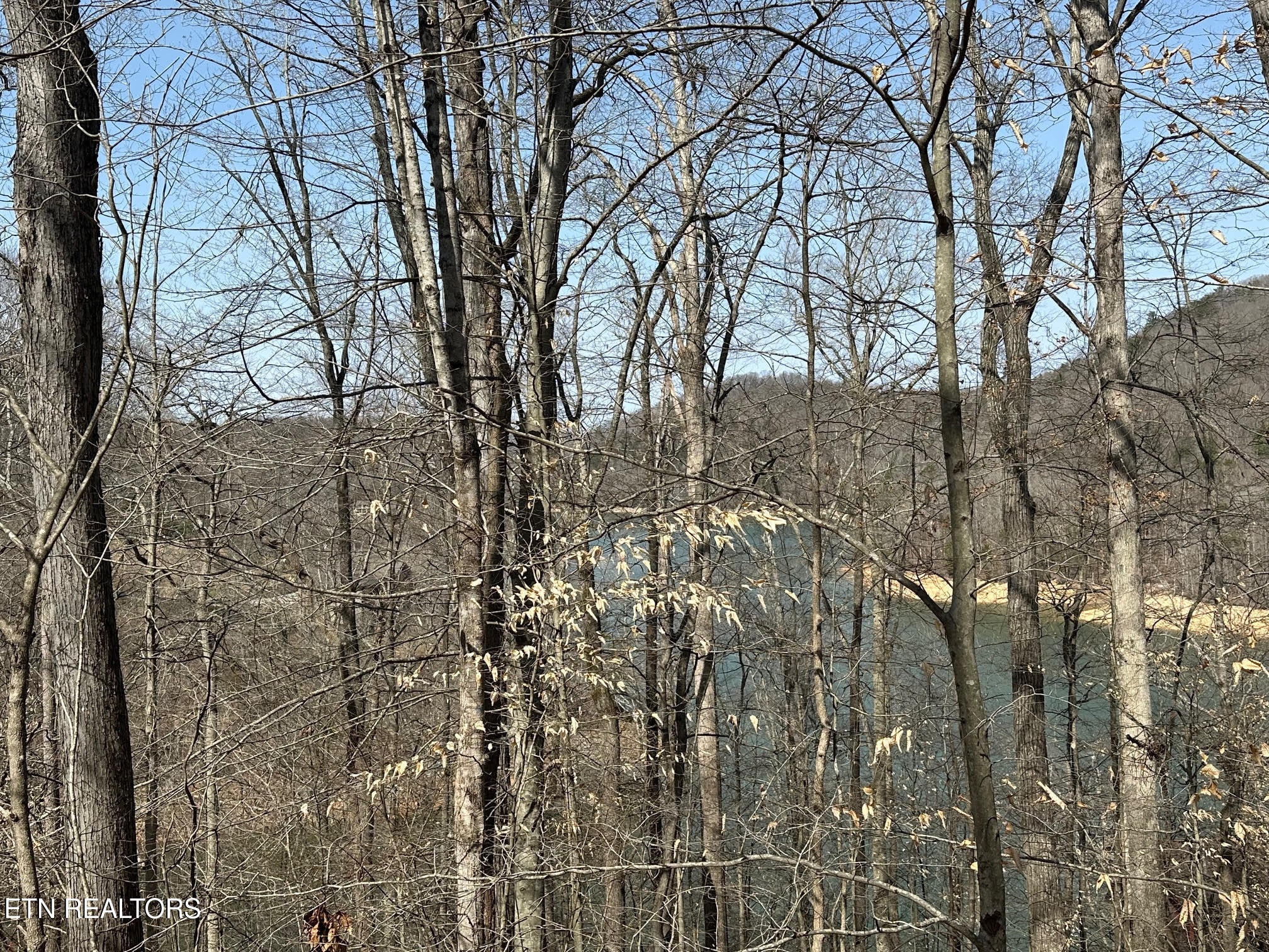 Lot 51 S Shorewood Drive Caryville TN 37714
