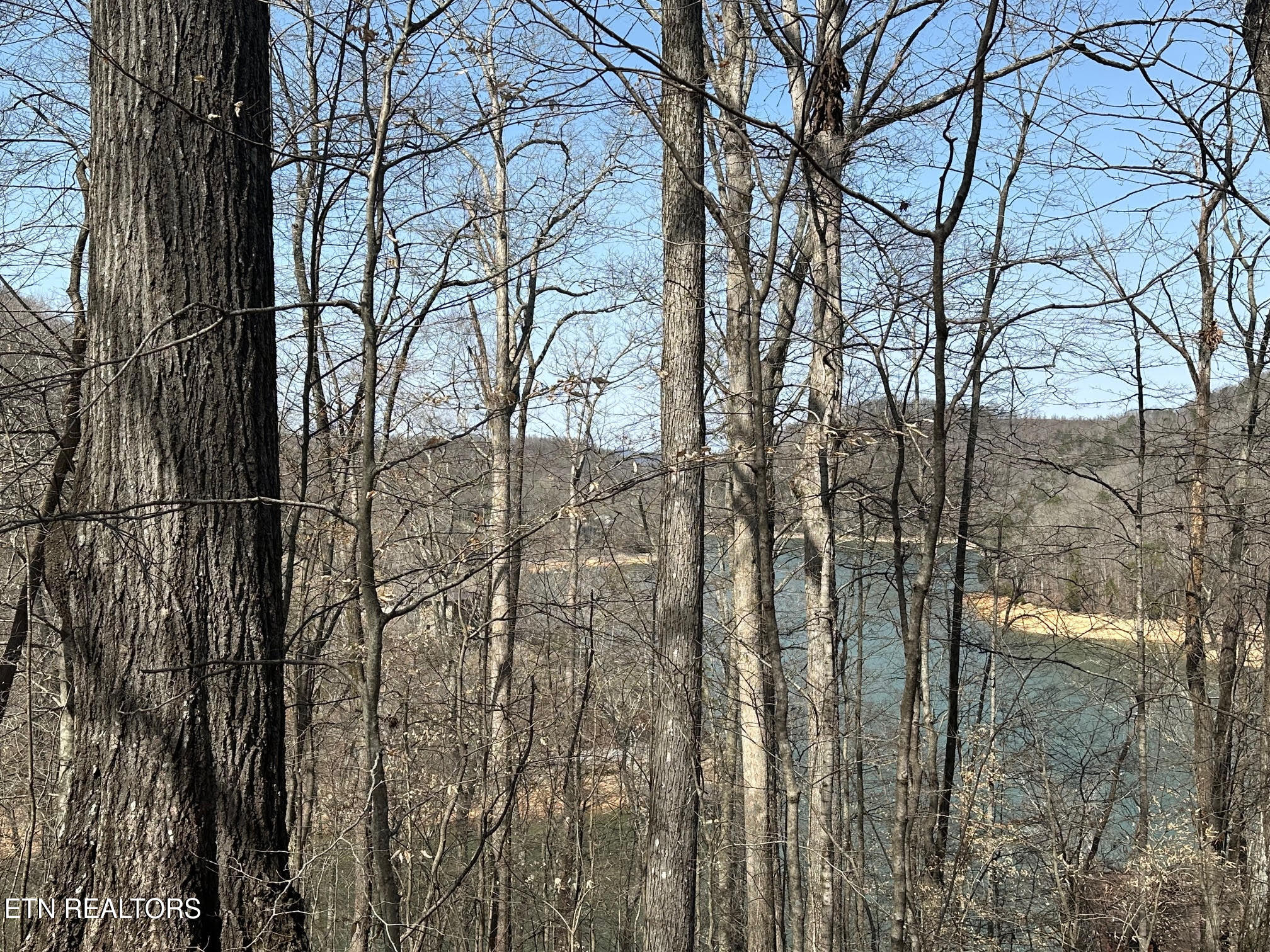 Lot 51 S Shorewood Drive Caryville TN 37714