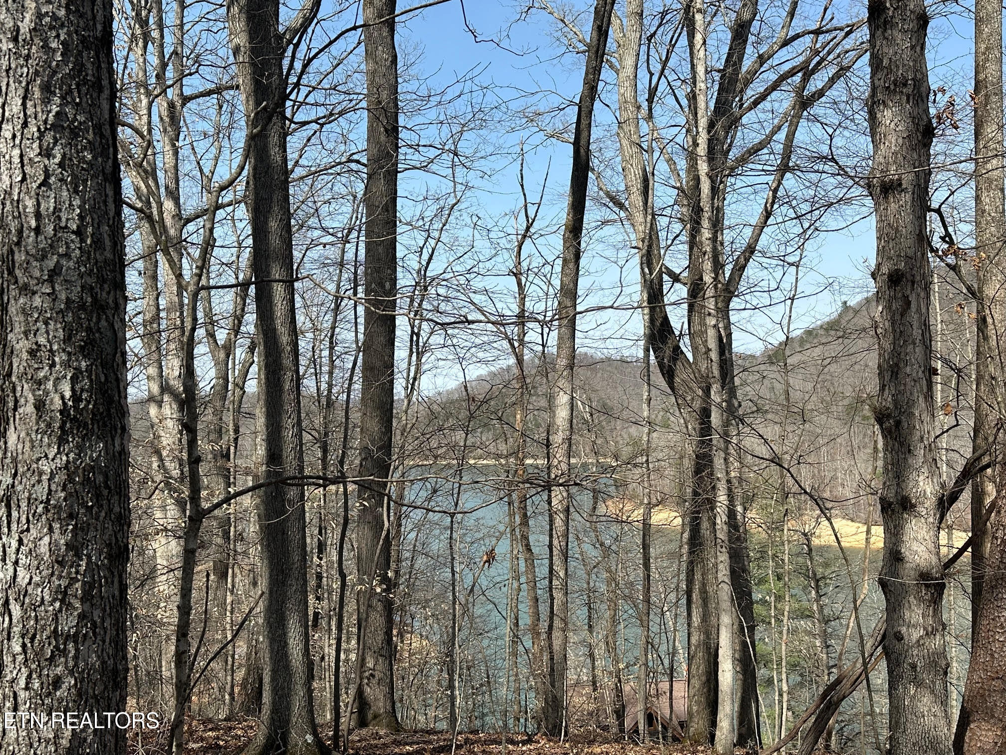 Lot 51 S Shorewood Drive Caryville TN 37714