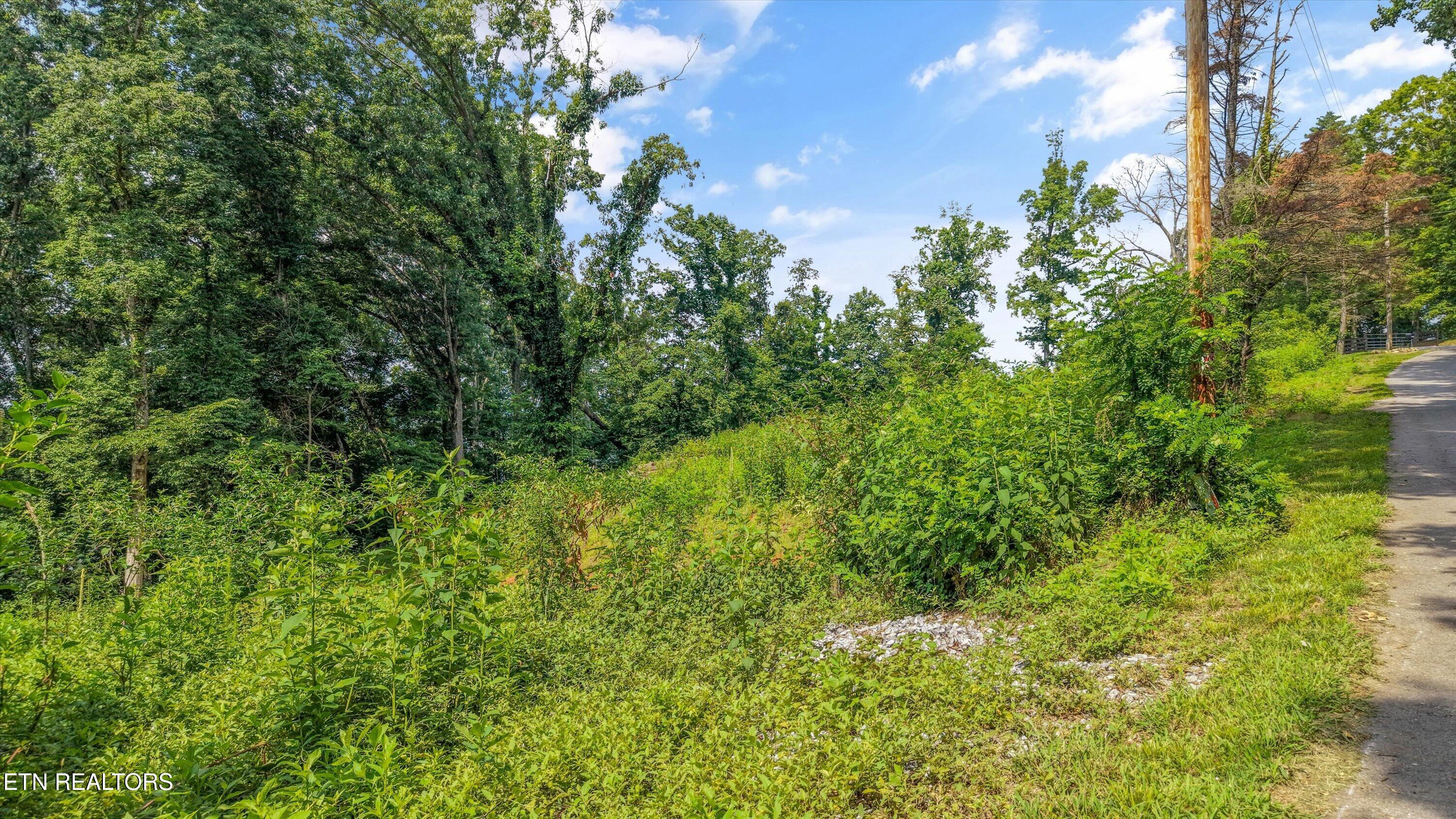 L-13 Cedar Grove Street Loudon TN 37774