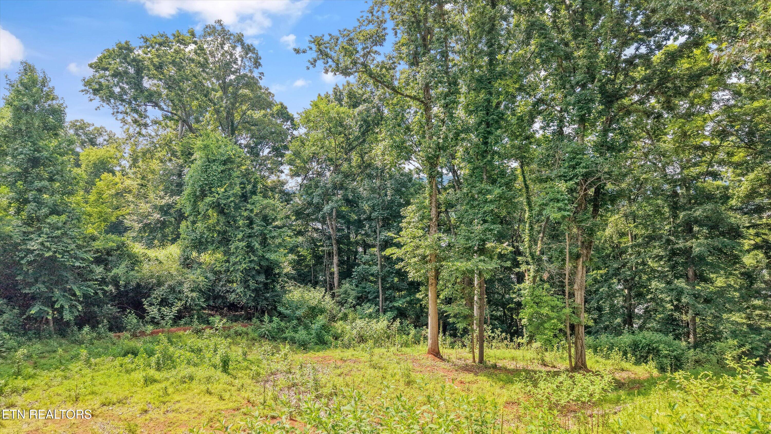 L-13 Cedar Grove Street Loudon TN 37774