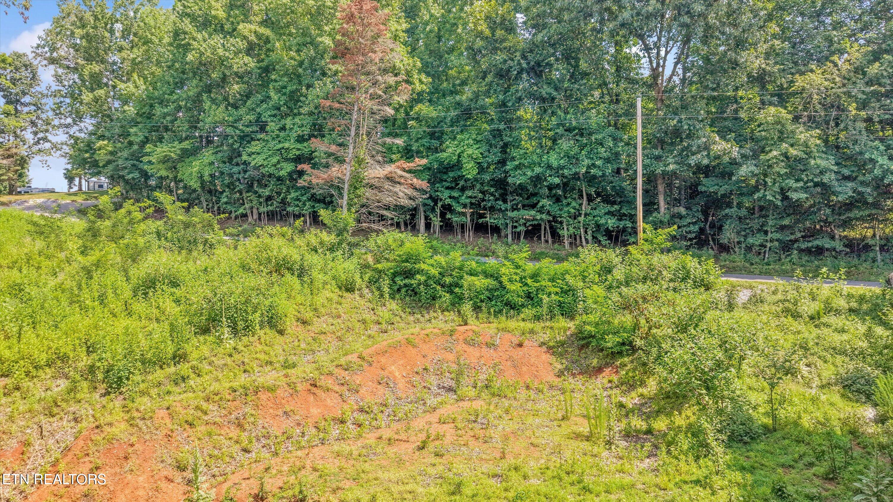 L-13 Cedar Grove Street Loudon TN 37774