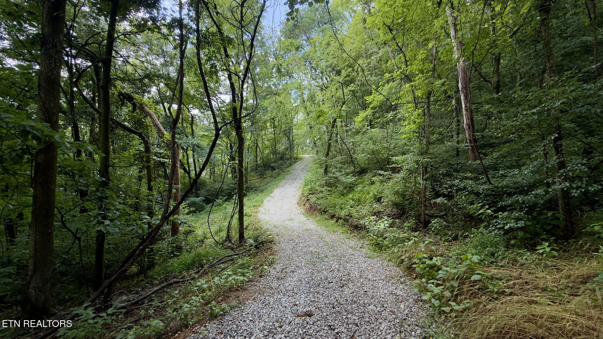 18 Ac E Main Street Dowelltown TN 37059