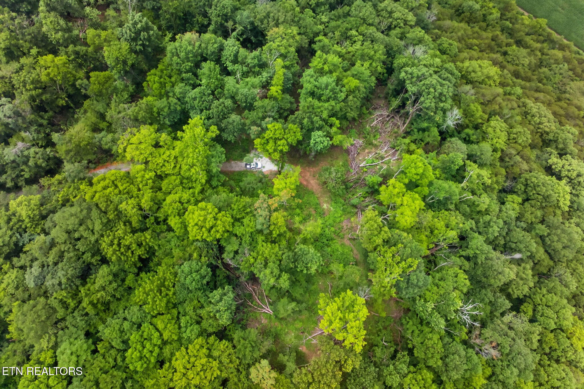 18 Ac E Main Street Dowelltown TN 37059