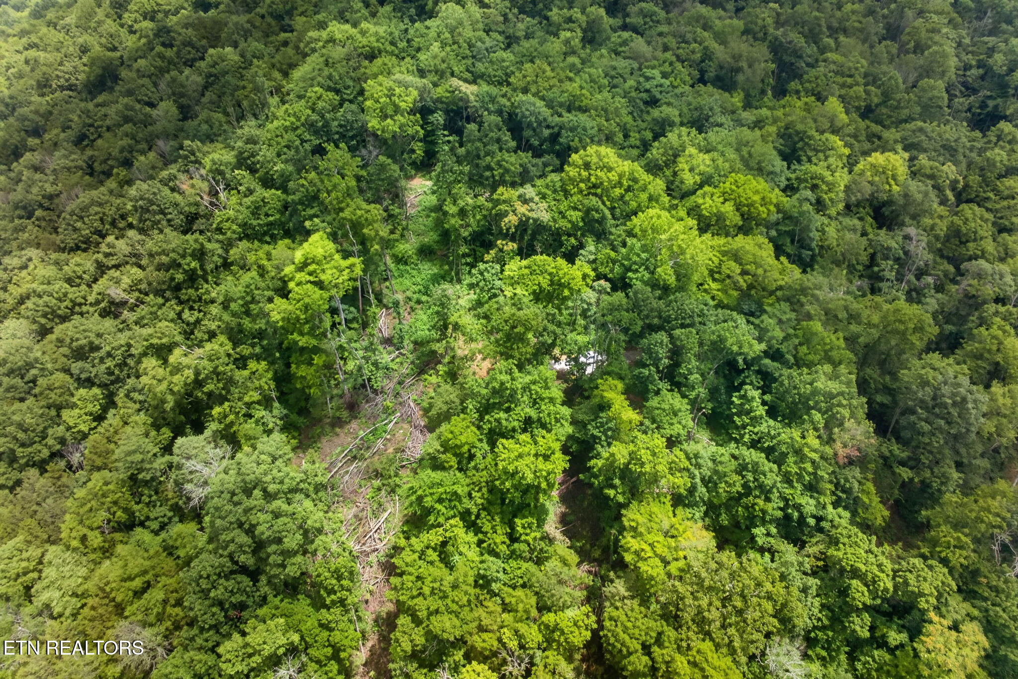 18 Ac E Main Street Dowelltown TN 37059
