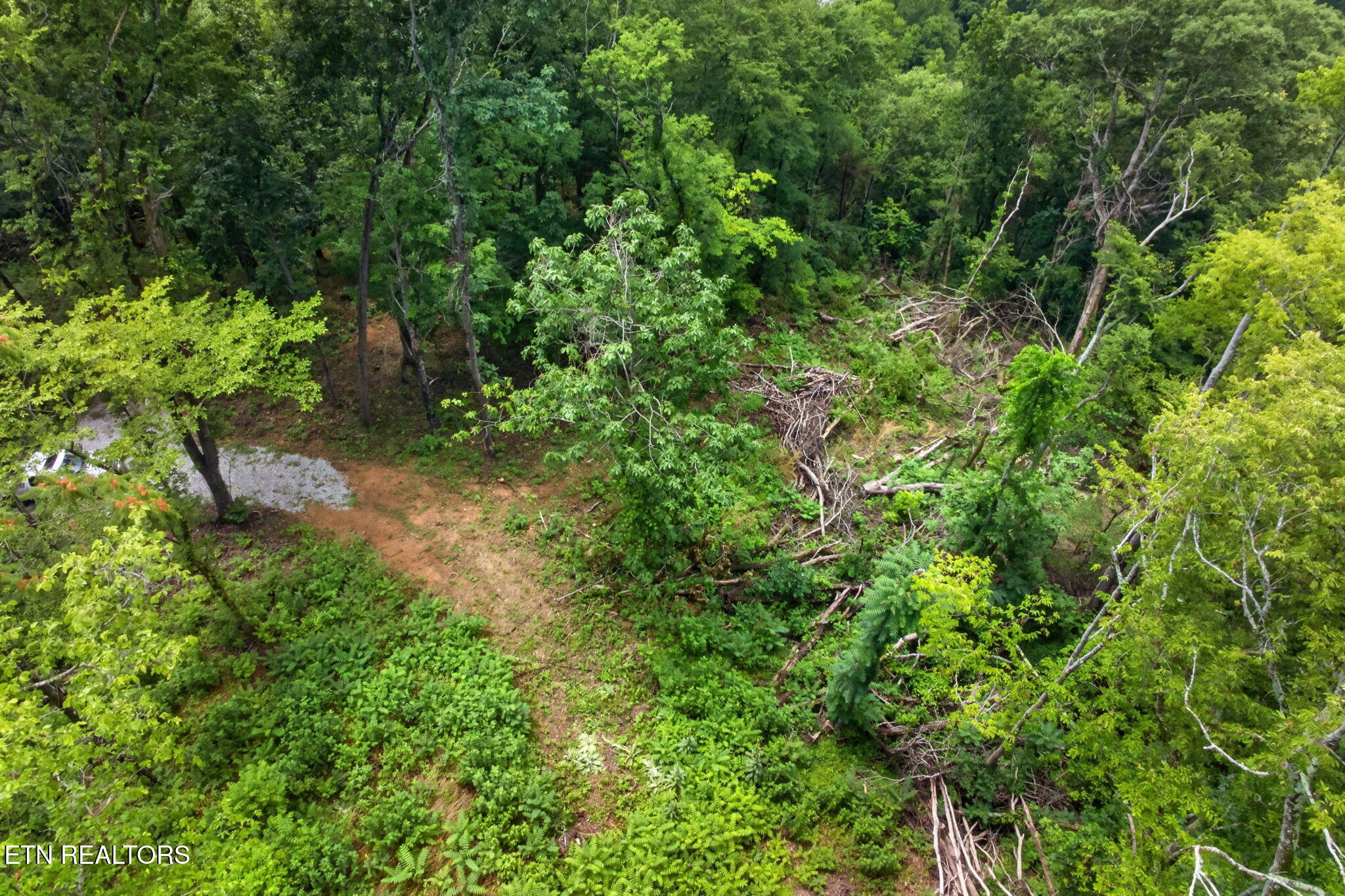 18 Ac E Main Street Dowelltown TN 37059