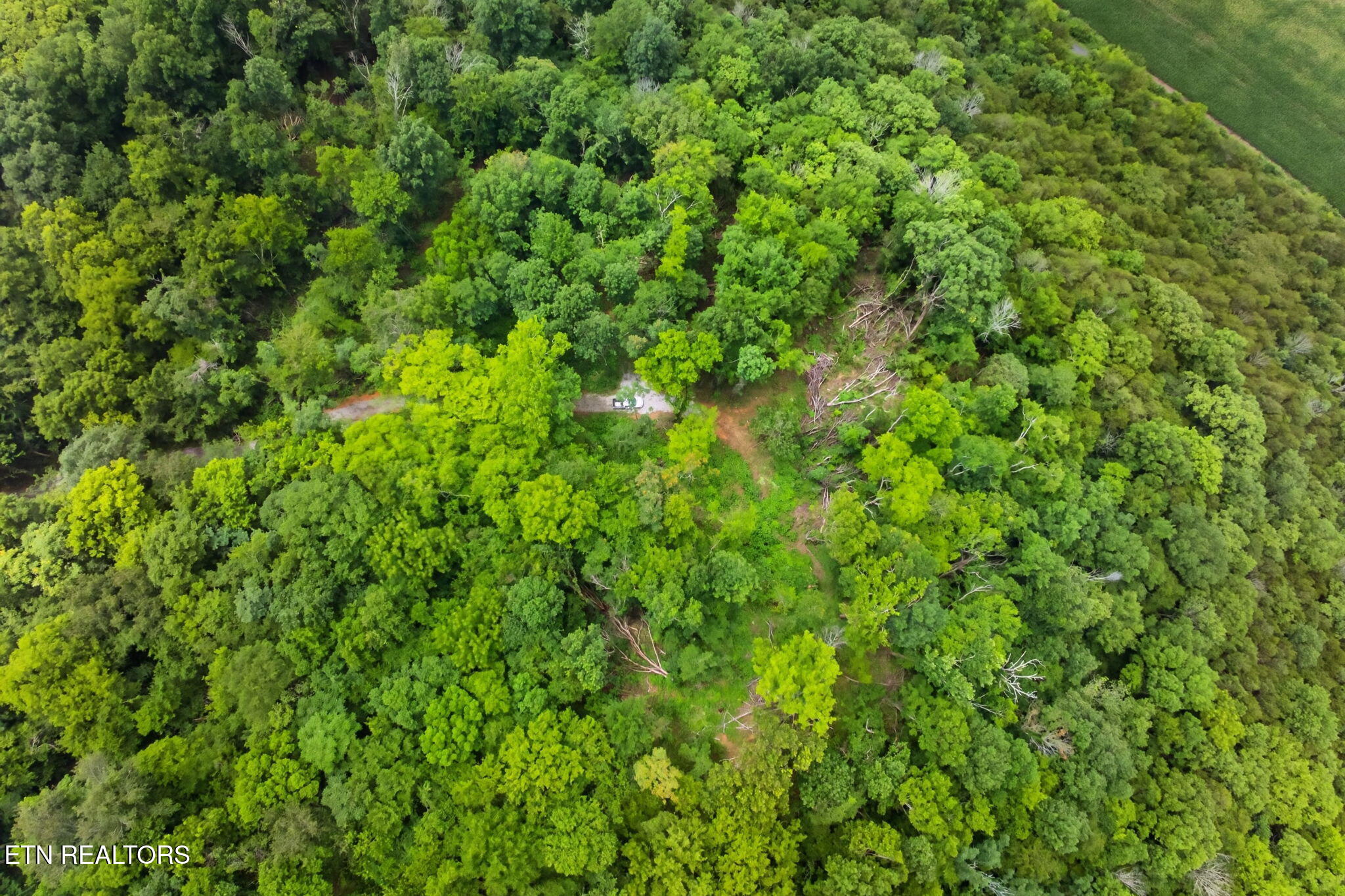 18 Ac E Main Street Dowelltown TN 37059