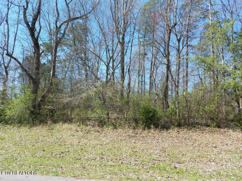 216 Montgomery View Drive Harriman TN 37748