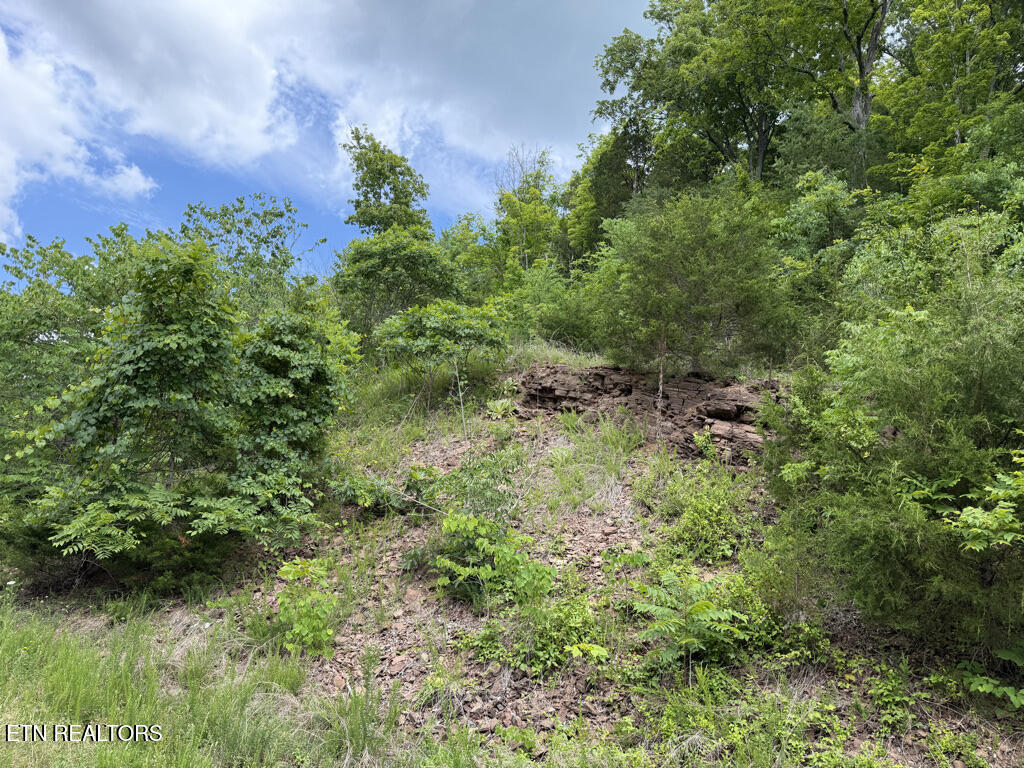 Lot 801 Russell Brothers Road Sharps Chapel TN 37866