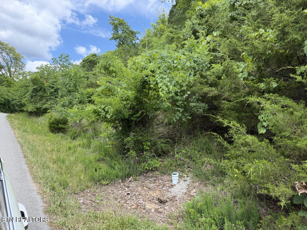 Lot 801 Russell Brothers Road Sharps Chapel TN 37866