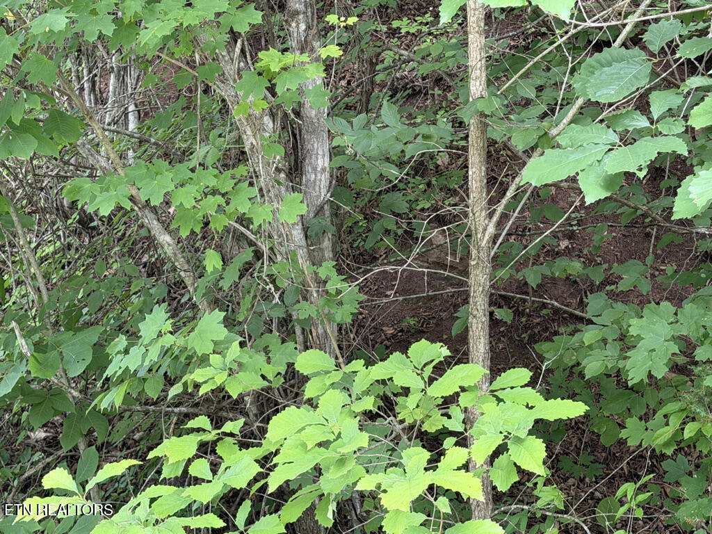 Lot 801 Russell Brothers Road Sharps Chapel TN 37866