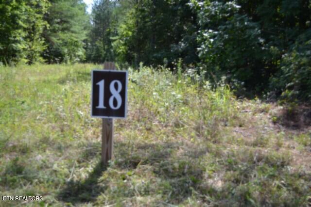 318 Rhodas Way Sunbright TN 37872