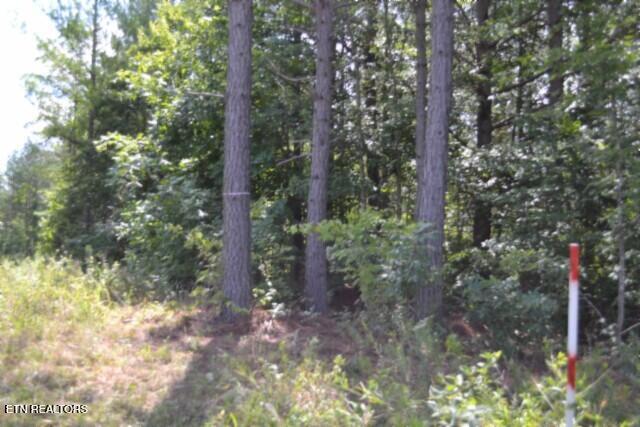 318 Rhodas Way Sunbright TN 37872