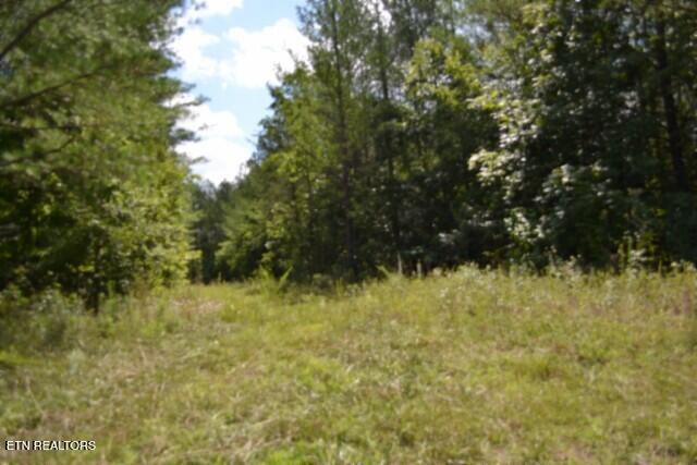 318 Rhodas Way Sunbright TN 37872