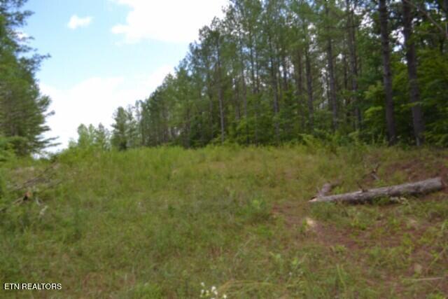 318 Rhodas Way Sunbright TN 37872