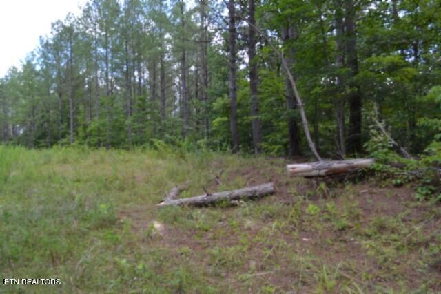 318 Rhodas Way Sunbright TN 37872