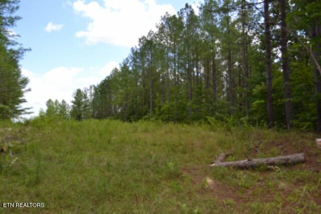 318 Rhodas Way Sunbright TN 37872