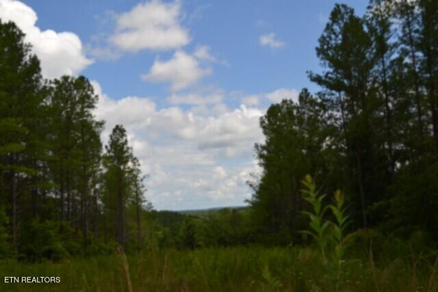 318 Rhodas Way Sunbright TN 37872