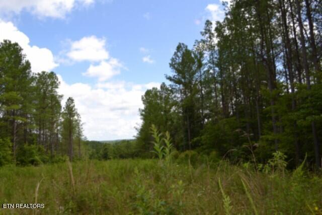 318 Rhodas Way Sunbright TN 37872