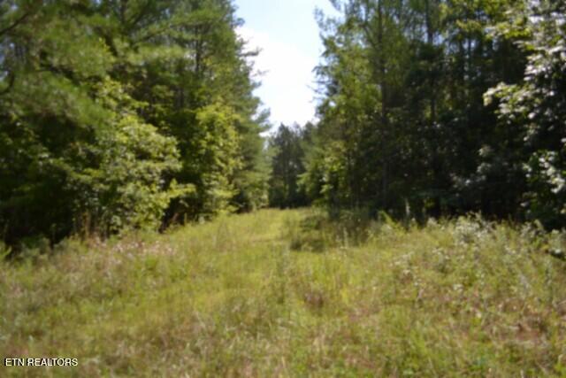 318 Rhodas Way Sunbright TN 37872