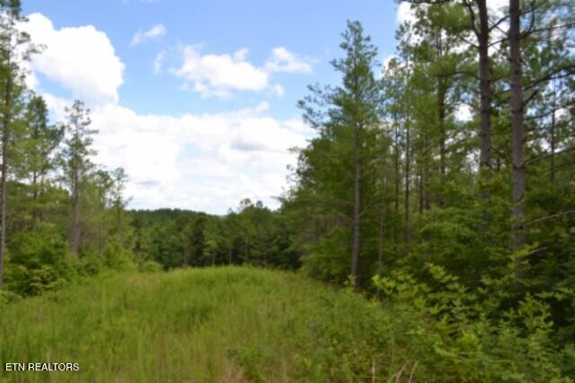 318 Rhodas Way Sunbright TN 37872