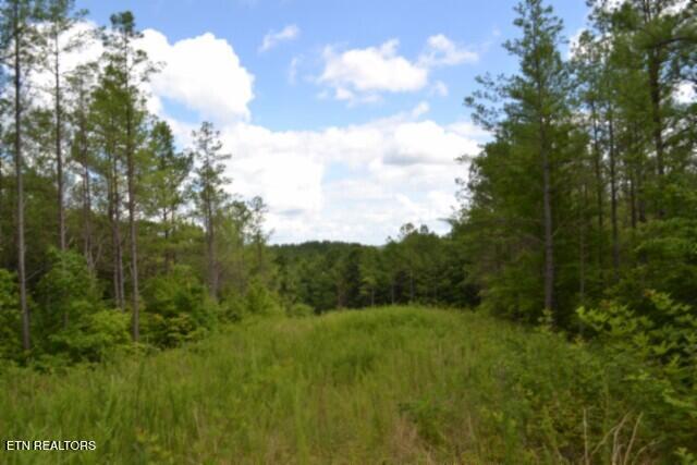 318 Rhodas Way Sunbright TN 37872
