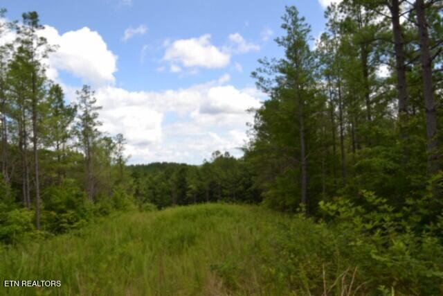 318 Rhodas Way Sunbright TN 37872