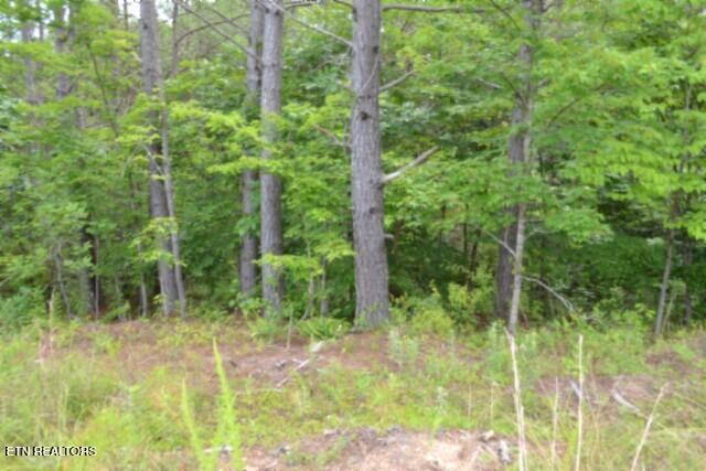 318 Rhodas Way Sunbright TN 37872
