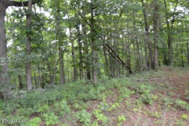 318 Rhodas Way Sunbright TN 37872