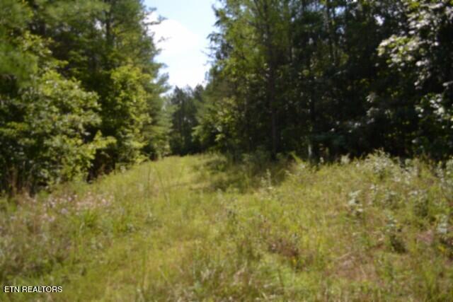 318 Rhodas Way Sunbright TN 37872