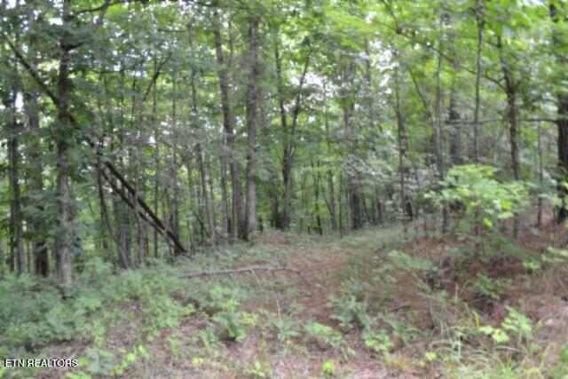 318 Rhodas Way Sunbright TN 37872