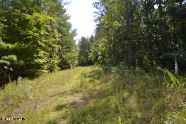 318 Rhodas Way Sunbright TN 37872