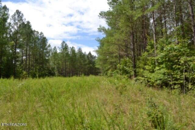 318 Rhodas Way Sunbright TN 37872