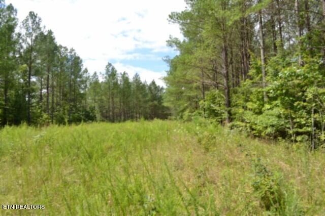 318 Rhodas Way Sunbright TN 37872
