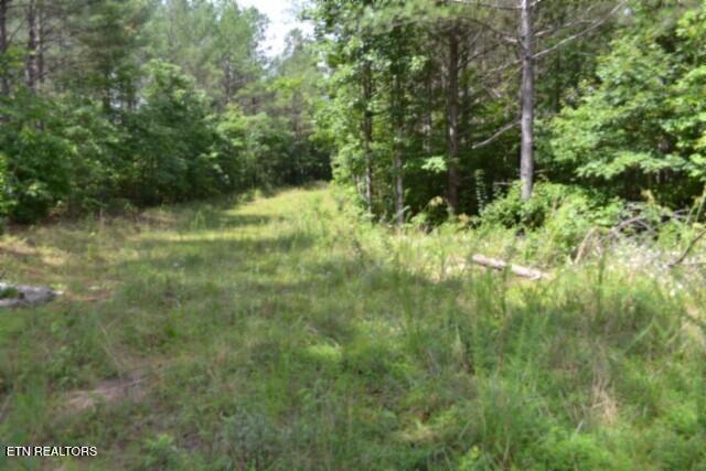 318 Rhodas Way Sunbright TN 37872